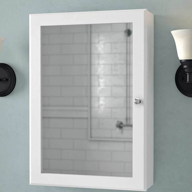 Andover Mills Campfield 16.63" x 23.75" Surface Mounted Framed Medicine